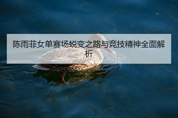 陈雨菲女单赛场蜕变之路与竞技精神全面解析
